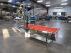 2013 Pizzamatic Band Conveyor